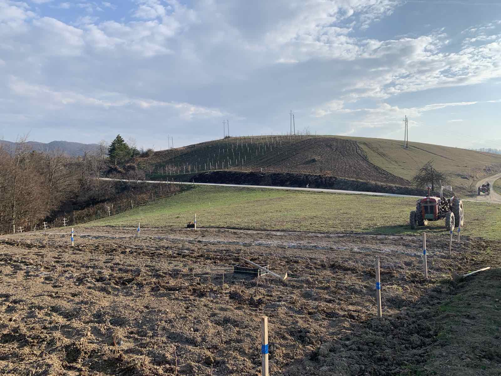 Slika Malinjaci i oranice u rano proleće.jpg